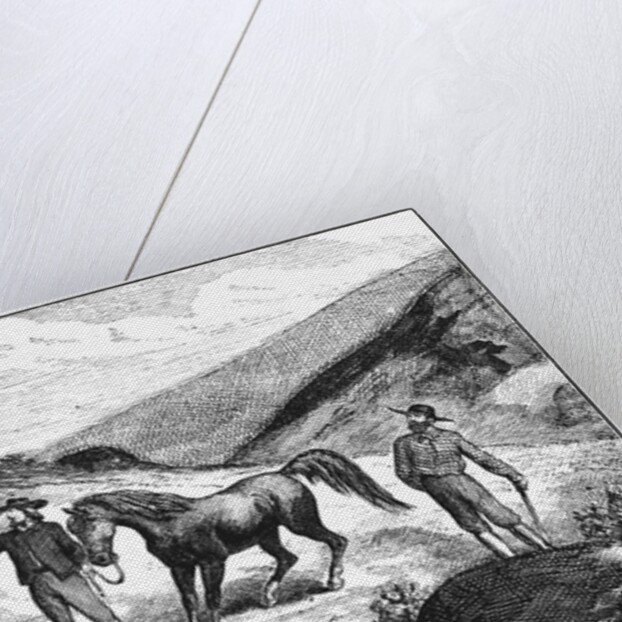 Henry T. P. Comstock Discovers Silver by Anonymous