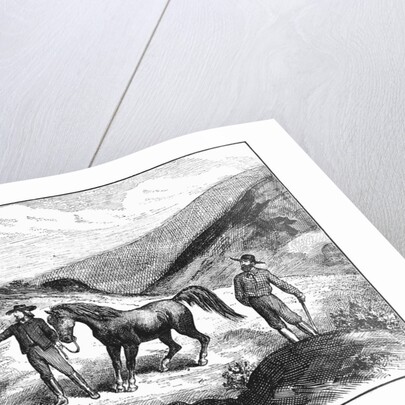 Henry T. P. Comstock Discovers Silver by Anonymous