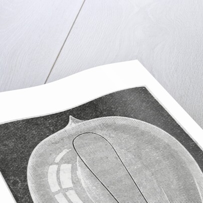 Early Light Bulb by Anonymous