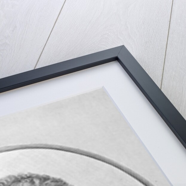 Portrait of Mathematician Maria Gaetana Agnesi by Anonymous