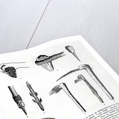 Book Illustration of Prehistoric Tools by Anonymous