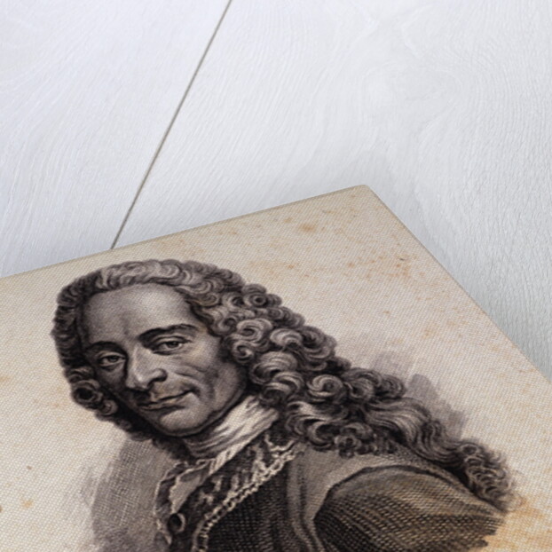 Portrait of Voltaire by Anonymous