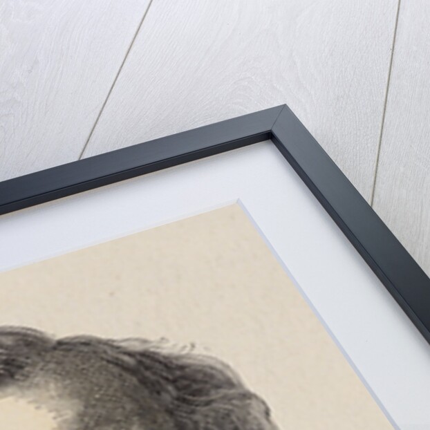 Portrait of Felix Nadar by Anonymous