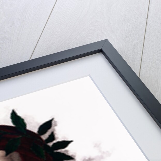 Portrait of Dante Alighieri by Anonymous