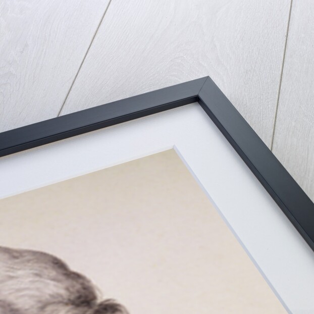 Portrait of Friedrich von Schiller by Anonymous