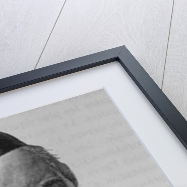 19th Century Portrait of Sainte-Beuve from L'Histoire de France by Henri Jean Guillaume Martin