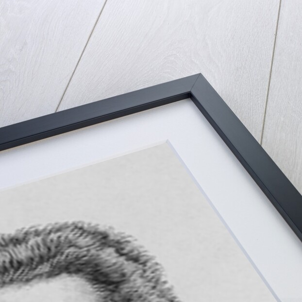 19th Century Portrait of Wilhelm Conrad Rontgen from Album de la Science, Savants Illustres, Grandes Decouvertes by Anonymous