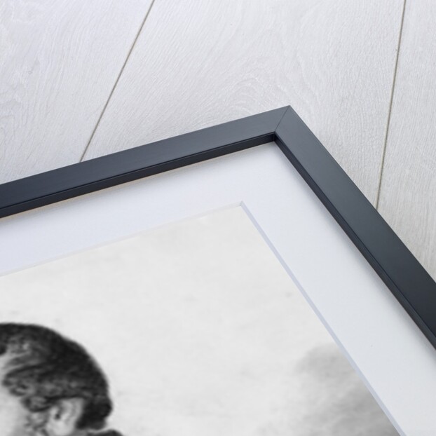 19th Century Engraving of Francois Guizot from L'Histoire de France by Henri Jean Guillaume Martin