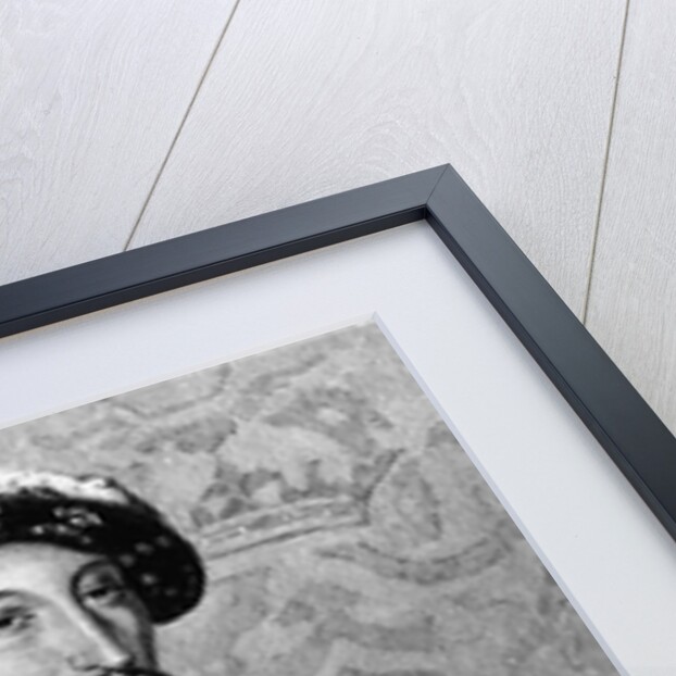 Francois I by Delannoy