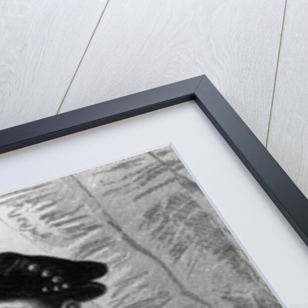 Henry II by Jacques Etienne Pannier