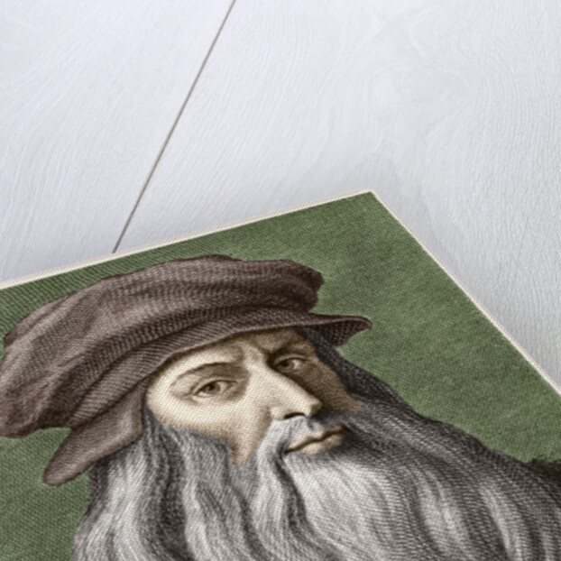 Portrait of Leonardo de Vinci by Anonymous