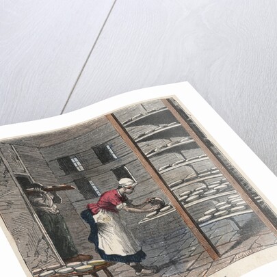 Une Fromagerie Illustration by Anonymous