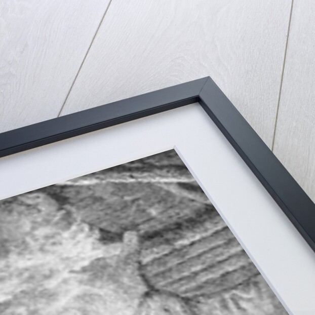 Illustration of Saint Jean de Brebeuf Speaking to Indian Council by Anonymous