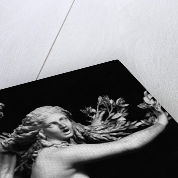 Bernini'S Sculpture Of Apollo & Daphne by Anonymous