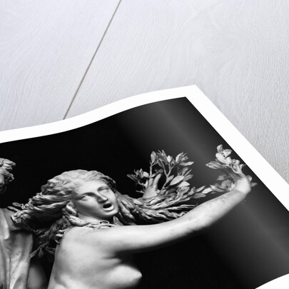 Bernini'S Sculpture Of Apollo & Daphne by Anonymous