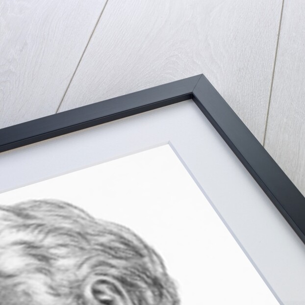 Portrait Illustration of Pythagoras by Anonymous