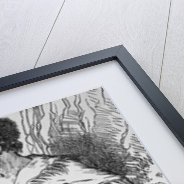 Portrait of Daniel Boone by Anonymous