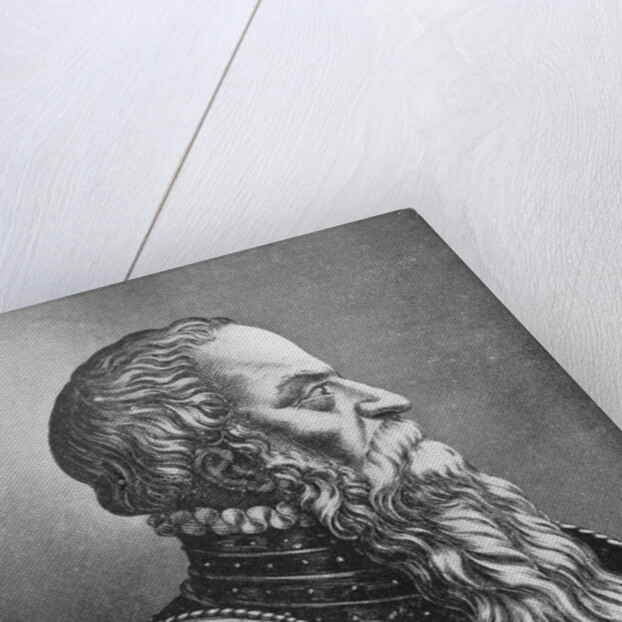 Profile Portrait of Bearded Man in Suit of Armor by Anonymous
