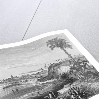 Bombay Citizens Along Shoreline by Anonymous
