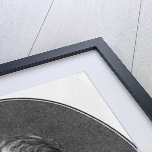 Joseph Freiherr Von Eichendorff by Anonymous