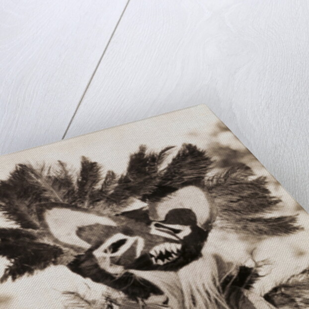 Tungus Shaman Witch Doctor with Drum by Anonymous