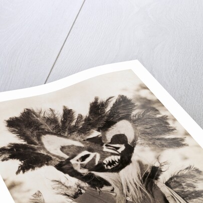 Tungus Shaman Witch Doctor with Drum by Anonymous