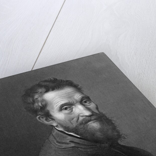 M. Angelo Buonarroti by A. Francois