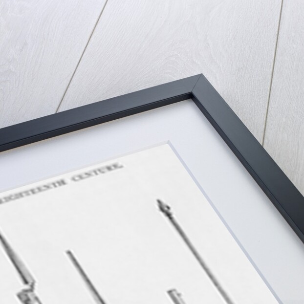 Illustration of 18th-Century Rifles and Other Weapons by Anonymous