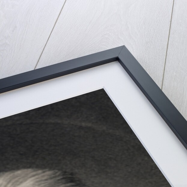 Maximilien Robespierre by Anonymous