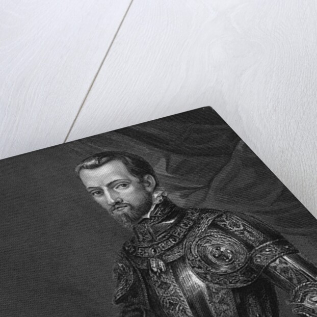Philip Ii The King Of Spain by Anonymous