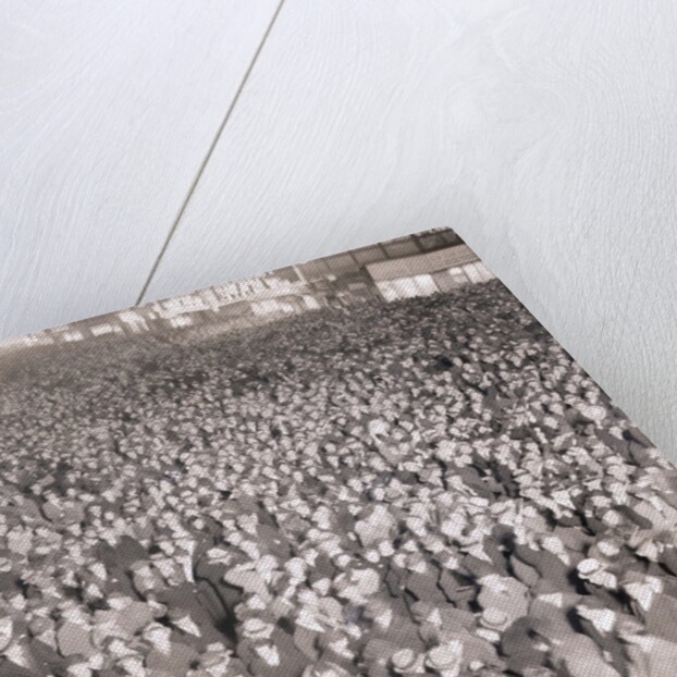 19th-Century Illustration Gathering Around Christmas Tree by Anonymous