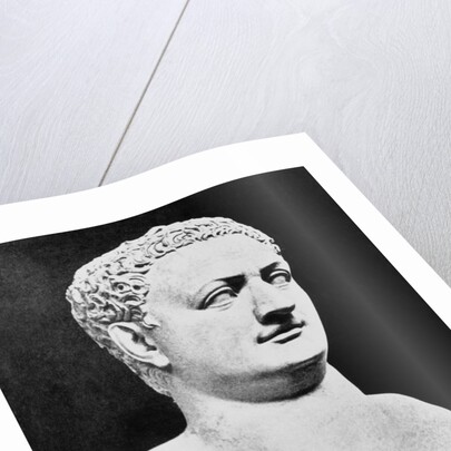 Bust of Roman Ruler Titus by Anonymous