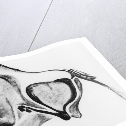Prehistoric Drawing of a Bison by Anonymous