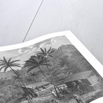 Drawing Depicting Dwellers on a Marquesas Island by Anonymous