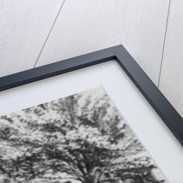 Emily Dickinson Home by Anonymous