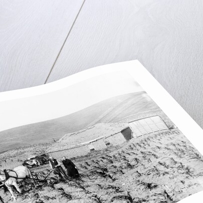 Man and Woman Farming by Anonymous