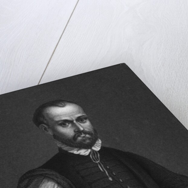 Portrait of Angl Machiavelli with Hand on Hip by Anonymous