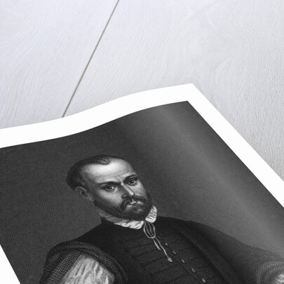 Portrait of Angl Machiavelli with Hand on Hip by Anonymous