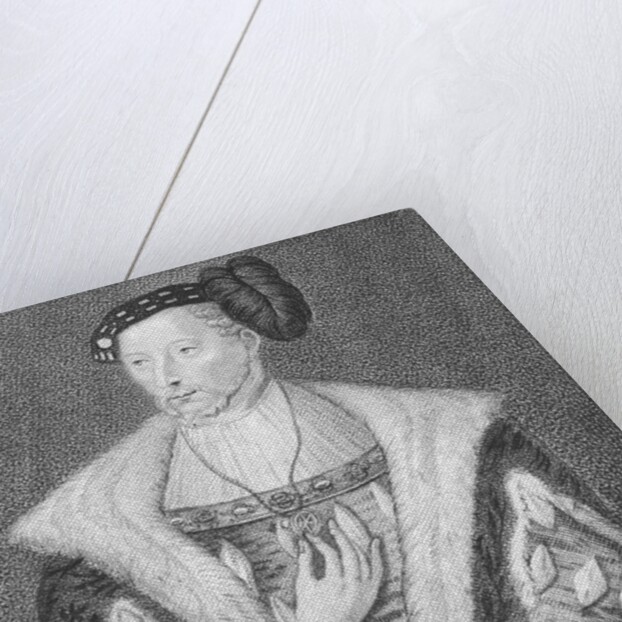 Portrait of James V, King of Scots by Anonymous