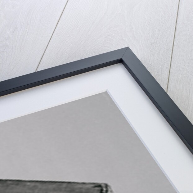 Kodak Dry Plates for Darkrooms by Anonymous