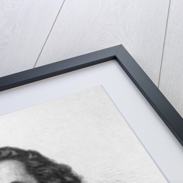 Detailed Portrait of William Livingston by Anonymous