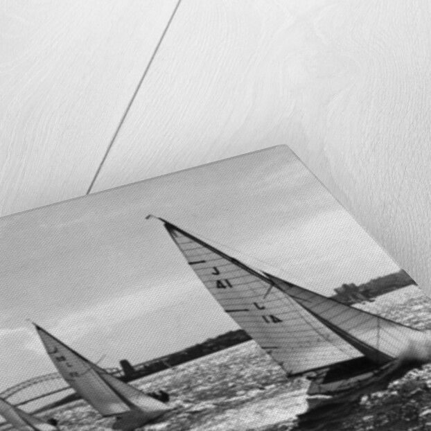 Small Boats Sailing on Sydney Harbor by Anonymous