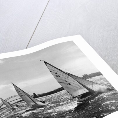 Small Boats Sailing on Sydney Harbor by Anonymous