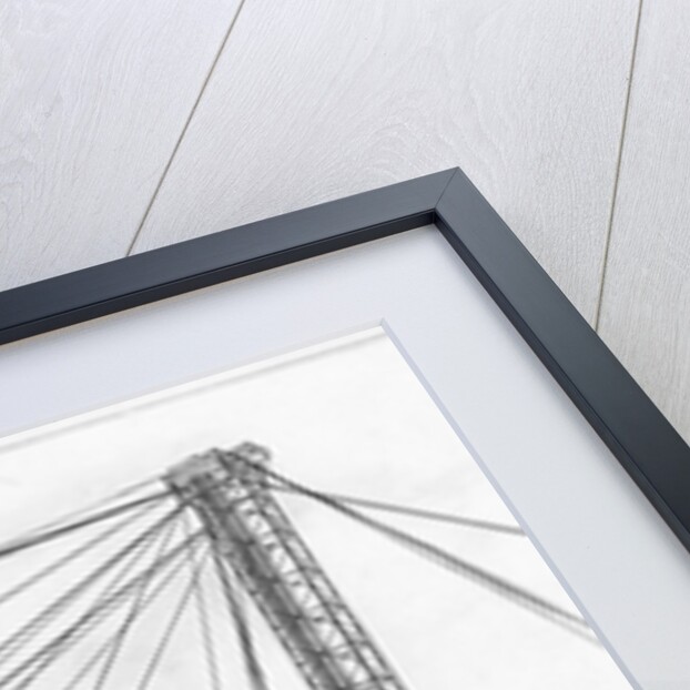 Skyway and Observation Towers at Century of Progress by Anonymous