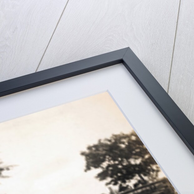 Boy Squirting Cow's Milk by Anonymous