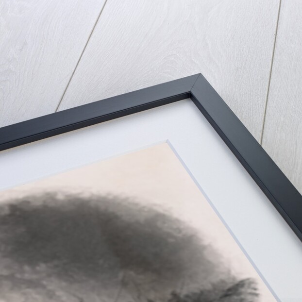 Battle of Sevastopol During Crimean War by Anonymous