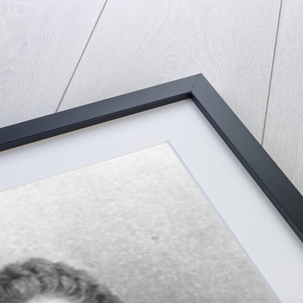 Portrait of Jeanne Comtesse du Barry by Anonymous