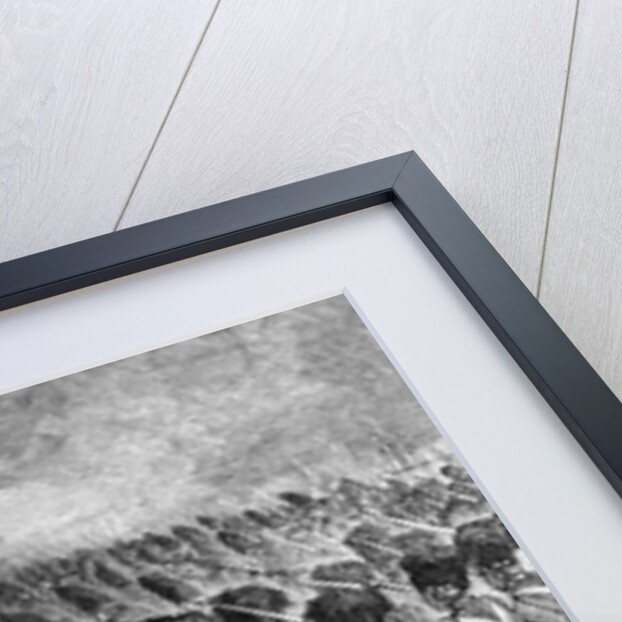 Battle Scene From French and Indian War by Anonymous