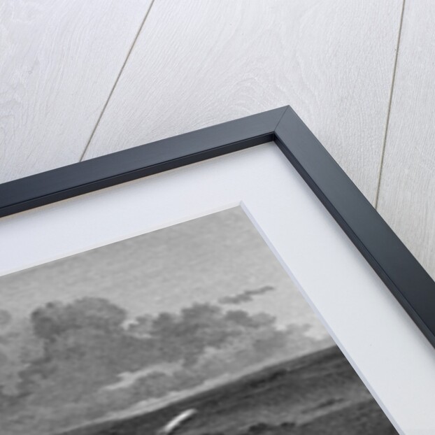 Engraving of Spanish Pointer Dog Hunting by Anonymous