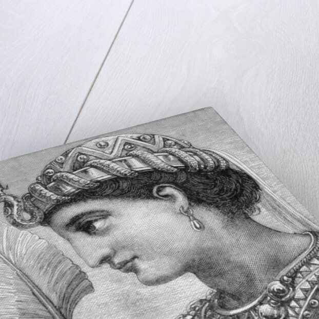 Profile Illustration of Cleopatra by Anonymous